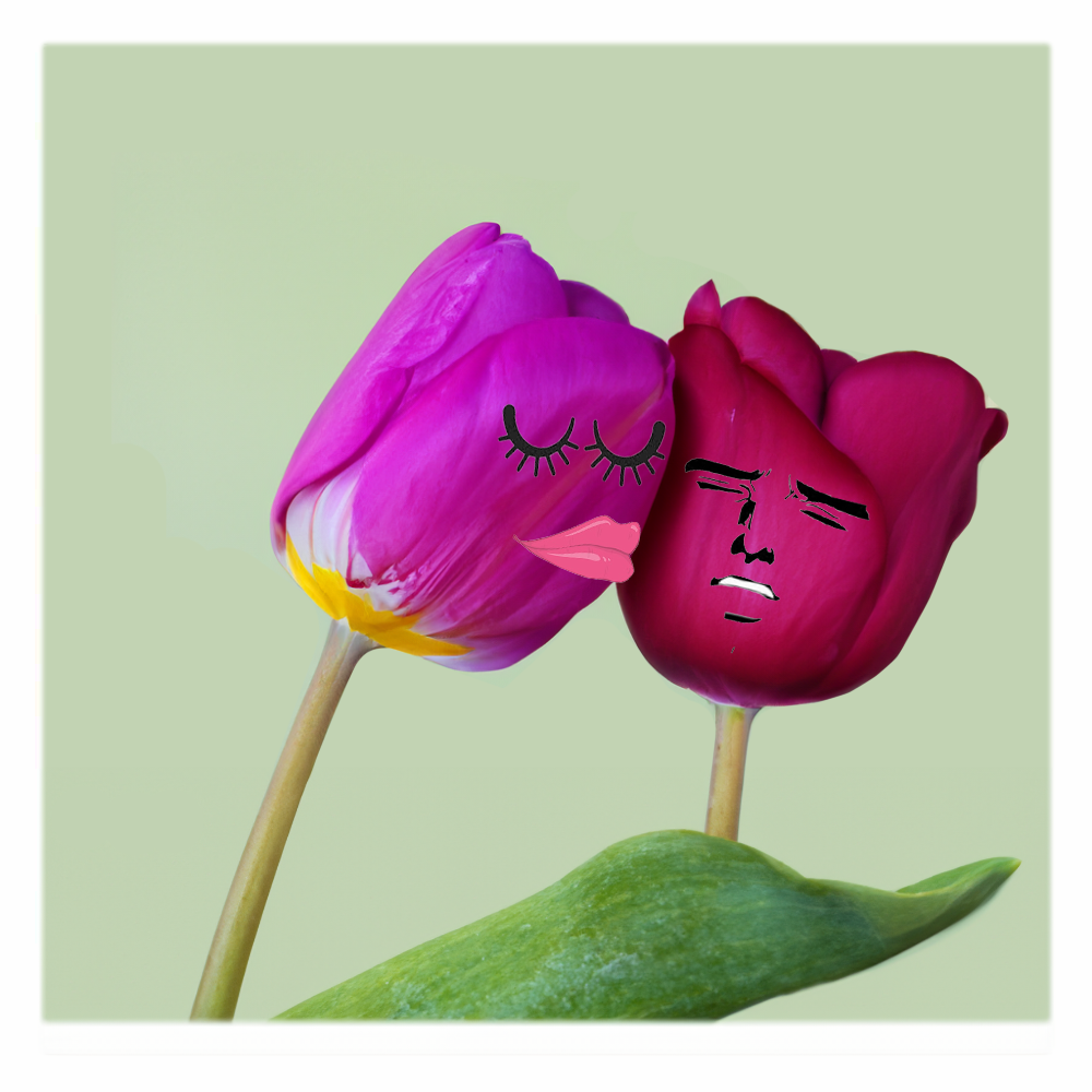 Flower sex and hard facts! - Flower sex and its advantages| SMASH ME Blog