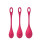 Satisfyer Yoni Power 1 Training Set Red