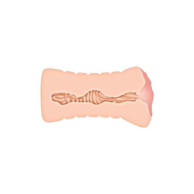 Lisa Ann Realistic Vagina Stroker