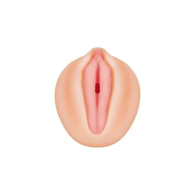 Zero Tolerance Alexis Texas Realistic Vagina Stroker