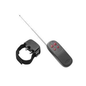 Master Series Cock Shock Remote