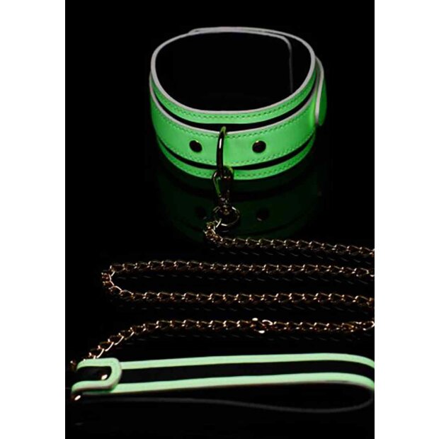 Kink in the Dark Glowing Collar & Leash
