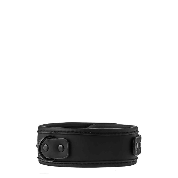 Blaze Collar And Leash Black