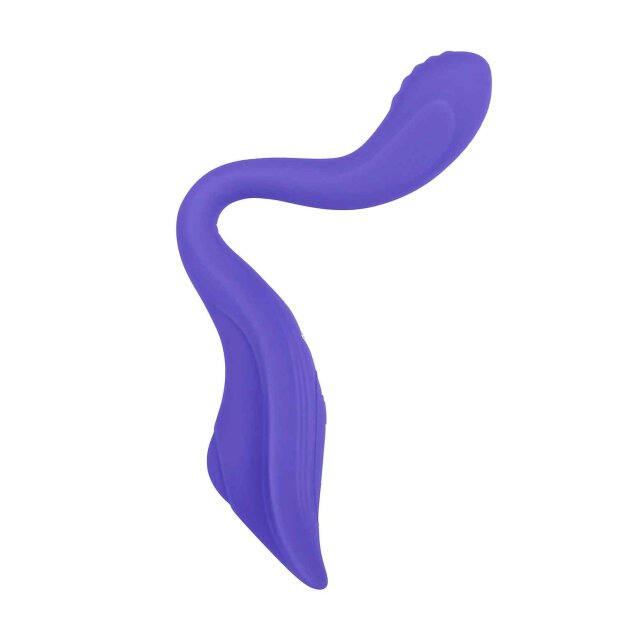 Evolved Anywhere Vibe