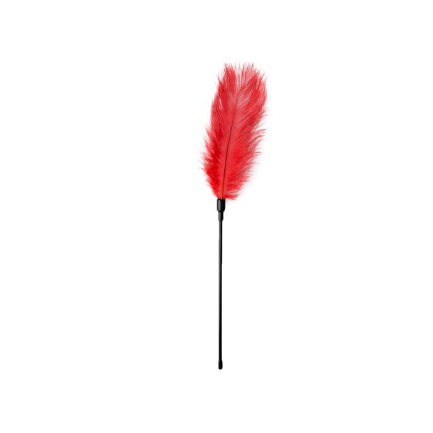 EasyToys Red Feather Tickler Rot 54 cm
