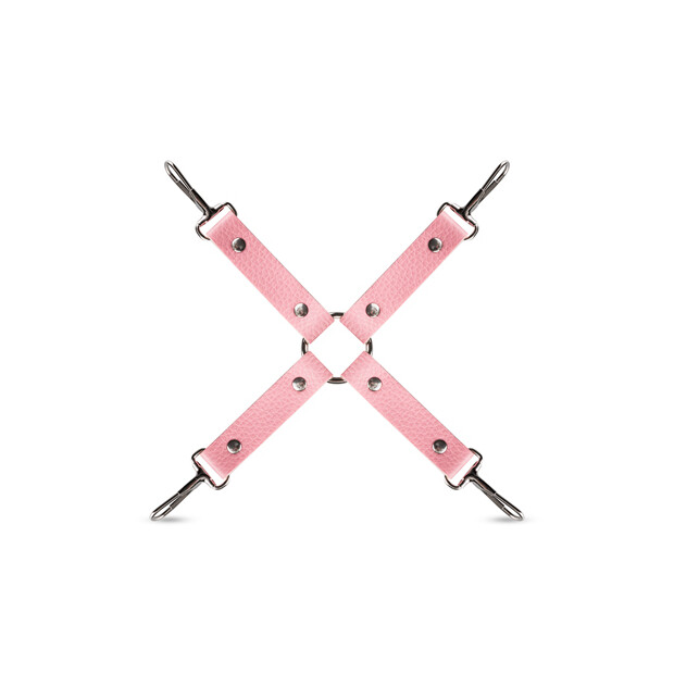 Secret Pleasure Chest Pink Pleasure