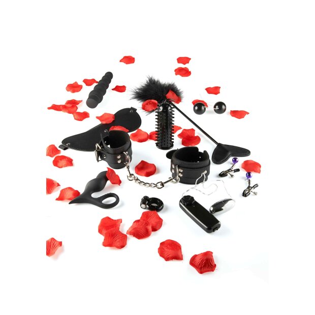 Lovetoy Starter Kit Black