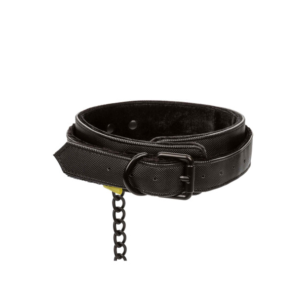 Boundless Collar & Leash Black