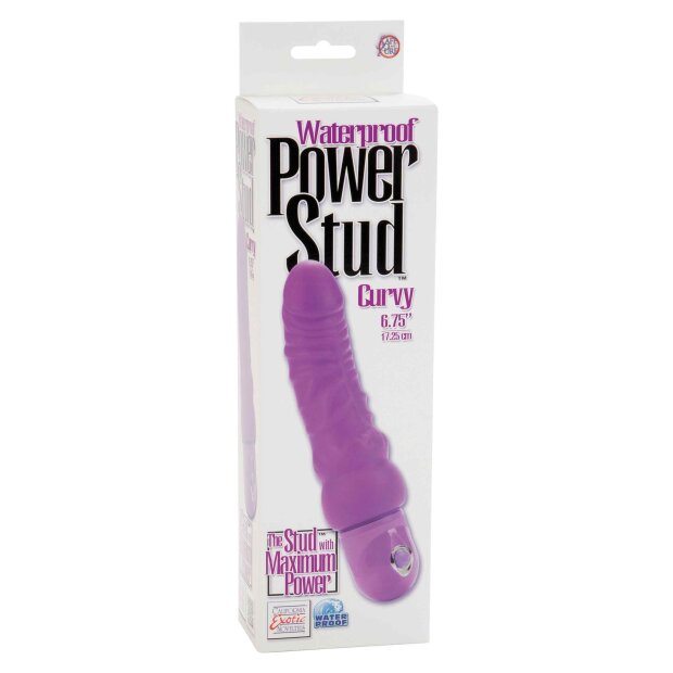 Power Stud Curvy Purple