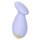 CalExotics Slay Entice Me Mini Vibrator Lila 9 cm ⌀ 3,8 cm
