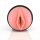 FLESHLIGHT Pink Lady Mini-Lotus Vagina Masturbator