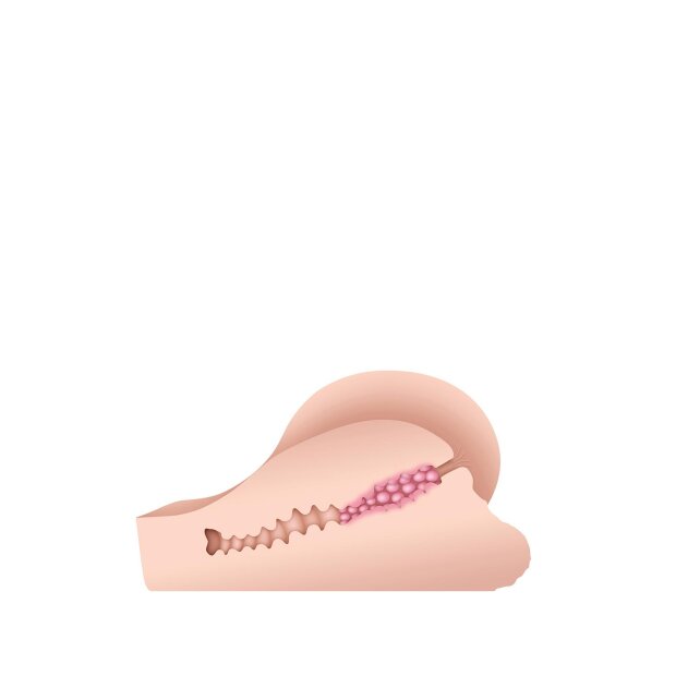 Gender X Handful Light 2.7kgs