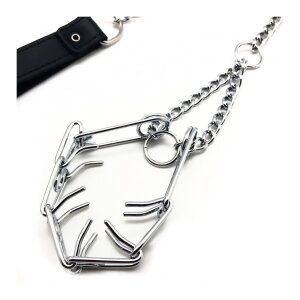 Laisse avec collier Crochets pour pénis