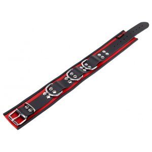 Leather Necklace 3 Rings D Red-Black