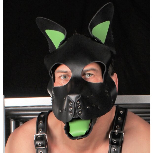 Puppy Set Green Leather Ears And Tongue