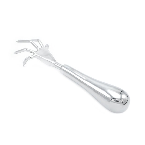 Stainless Steel Claw Scratcher