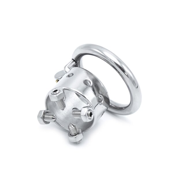 Torture Chastity Device