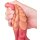 Dragon Zomai Dildo 18 x 6cm
