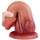 Dildo Dragon Peng 18 x 4.8cm