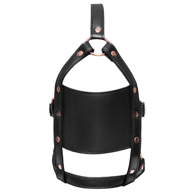 Bad Kitty head harness with a gag