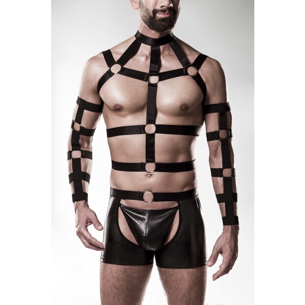 GREY VELVET MEN 4-pc harness set L/XL