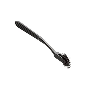 Boundless Pleasure Wheel