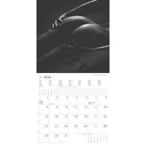 PIN-UP Kalender Feminine 2024