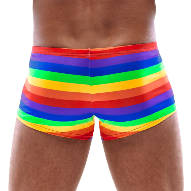 Mens Boxer Briefs Rainbow M
