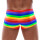 Mens Boxer Briefs Rainbow M