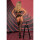 LivCo Corsetti Fashion Sobren bodystocking black