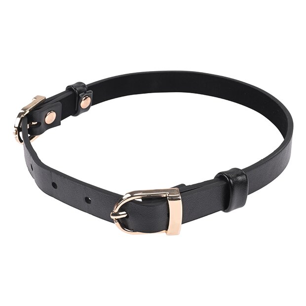 Sportsheets - Sex & Mischief Double Buckle Day Collar
