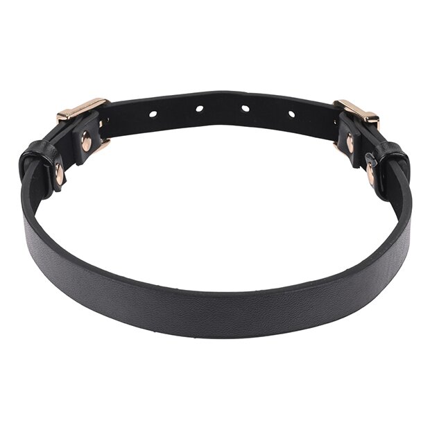 Sportsheets - Sex & Mischief Double Buckle Day Collar