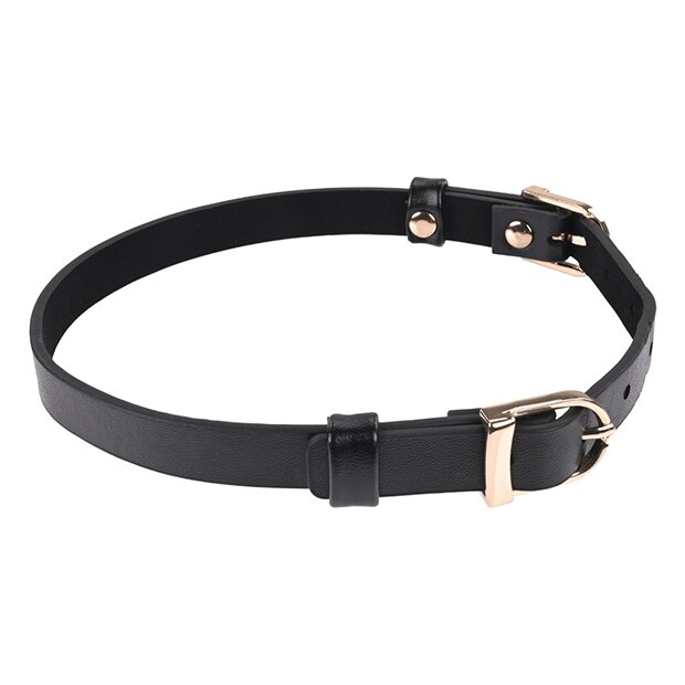 Sportsheets - Sex & Mischief Double Buckle Day Collar