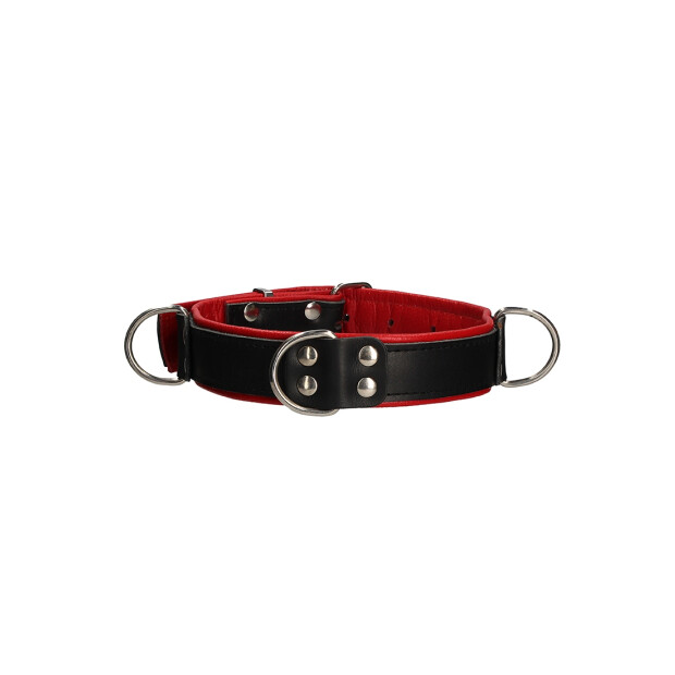 Shots Deluxe Bondage Collar black, red one size fits all