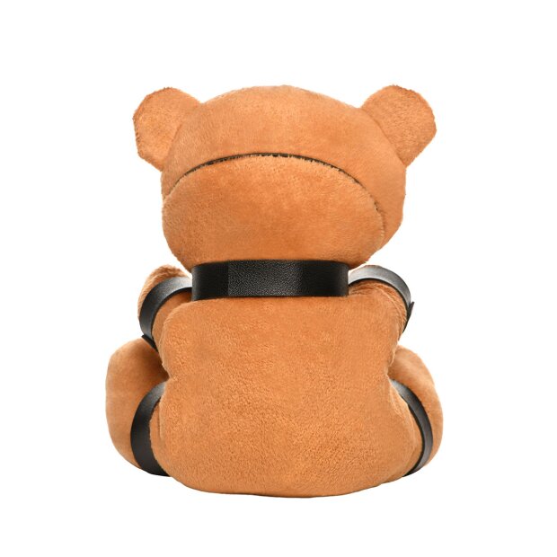 Gagged Teddy Bear Plush