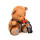 Gagged Teddy Bear Plush