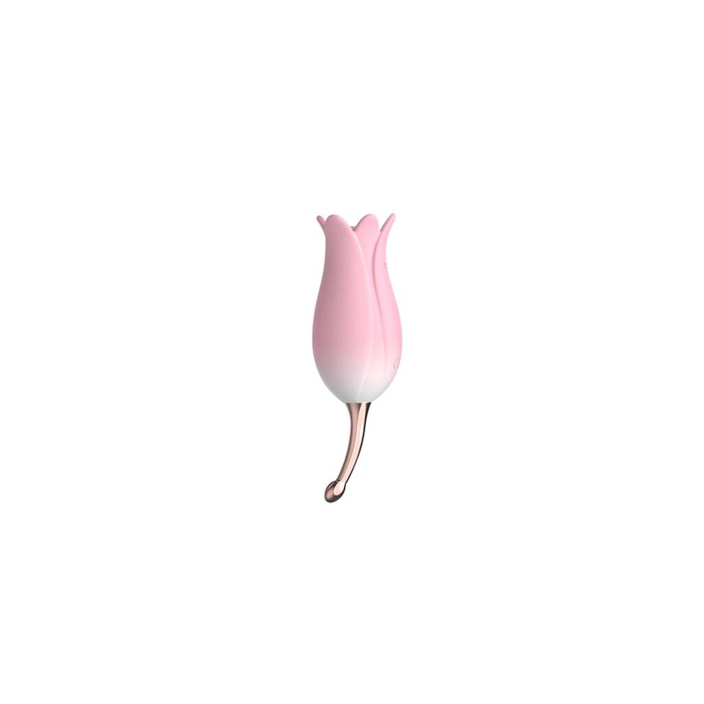 OTOUCH - Vibromasseur clitoridien Fleur rose, 51,95