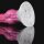 Animalorny Dildo Dog Bichon Spezialdildo Pink 15 cm