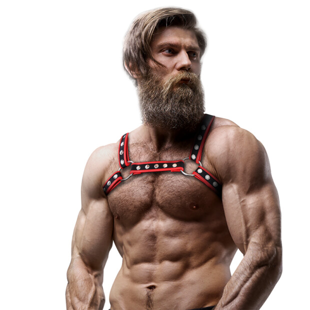Fetish Submissive Attitude - Bulldog Chest Harness Eco Leather Black/Red Men OS