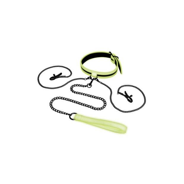 Whipsmart Halsband mit Nippel Clips und Leine