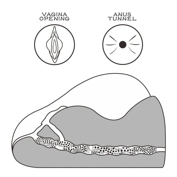 Lovetoy Masturbator Streetgirls #2 Black