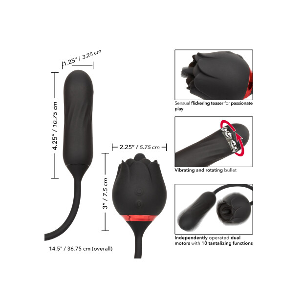CalExotics French Kiss Elite Lover Vibrator Schwarz