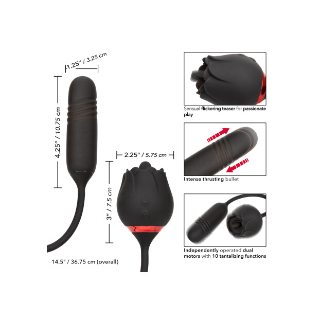 CalExotics French Kiss Elite Romeo Vibrator Schwarz
