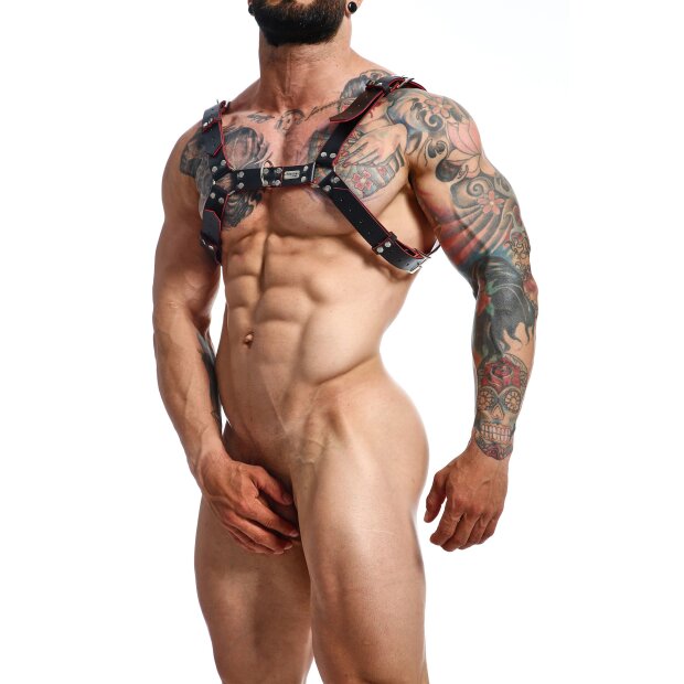 DNGEON Harness Belts Black - OS