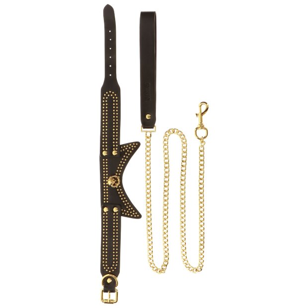 Taboom Studded Collar and Leash