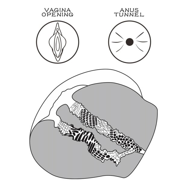 Lovetoy masturbator with anus and vagina opening
