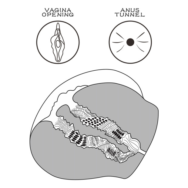 Lovetoy masturbator with anus and vaginal opening