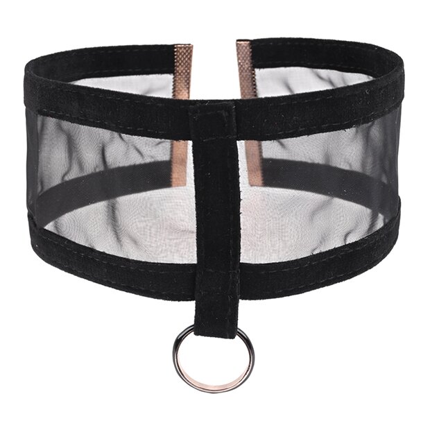 Sportsheets Sex & Mischief Sheer Day Collar