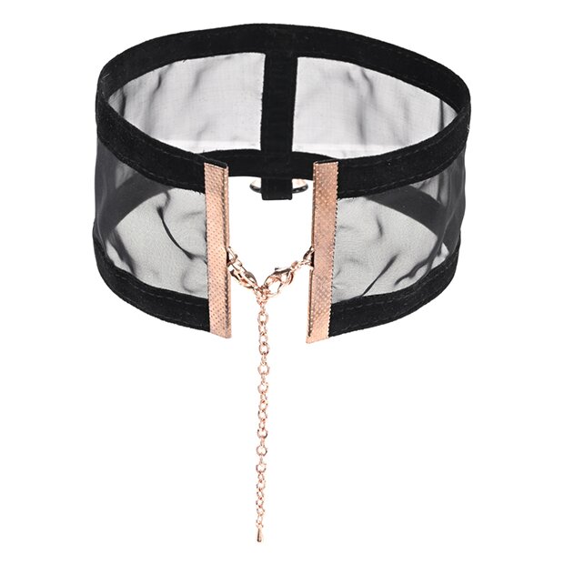 Sportsheets Sex & Mischief Sheer Day Collar