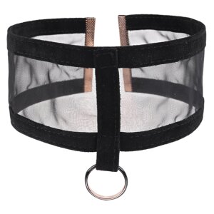 Sportsheets Sex & Mischief Sheer Day Collar